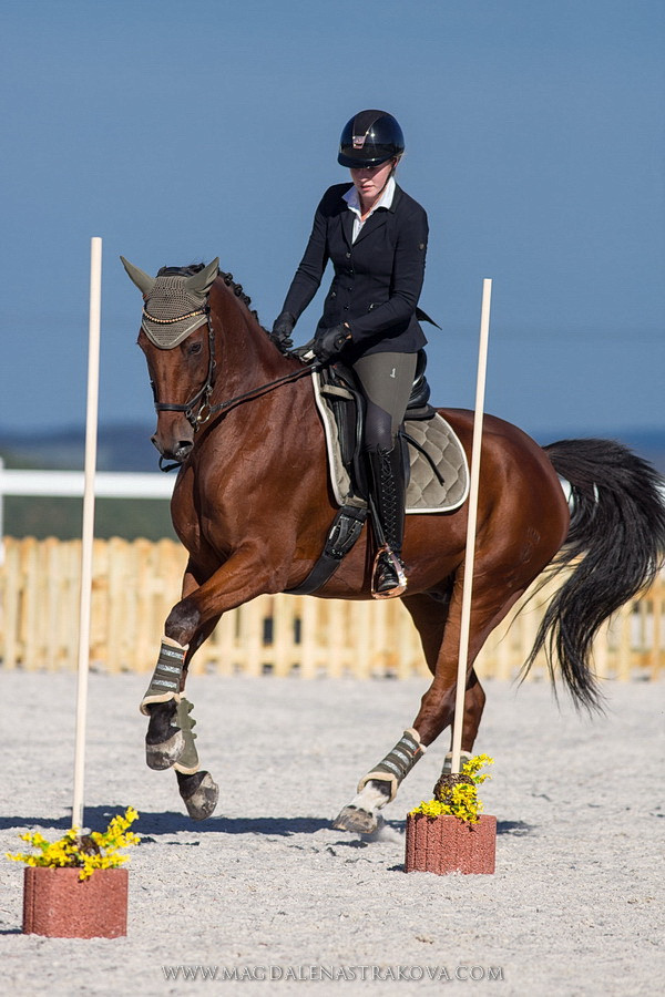 I. ročník Pedro Torres Academy Cup 2019 Fotografie magdalenastrakova.com